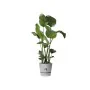 Plant pot Elho Grey Plastic Circular Modern Ø 47 cm by Elho, Flower Pots - Ref: S7196842, Price: 75,94 €, Discount: %