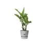 Plant pot Elho Grey Plastic Circular Modern Ø 47 cm by Elho, Flower Pots - Ref: S7196842, Price: 75,94 €, Discount: %