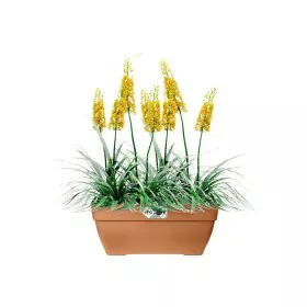 Plant pot Elho Ø 76,5 cm Plastic Rectangular Modern by Elho, Flower Pots - Ref: S7196847, Price: 54,07 €, Discount: %