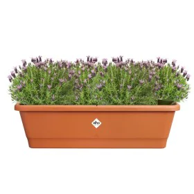 Plant pot Elho Brown 65 x 20 x 18 cm Plastic Squared by Elho, Flower Pots - Ref: S7196858, Price: 45,77 €, Discount: %