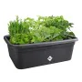 Plant pot Elho 7,4 x 76 x 26,8 cm Black Plastic Squared by Elho, Flower Pots - Ref: S7196861, Price: 57,38 €, Discount: %