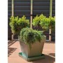 Plant pot Riviera Brown 50 x 50 cm by Riviera, Flower Pots - Ref: S7196879, Price: 41,16 €, Discount: %