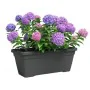 Plant pot Artevasi Anthracite 24,3 x 22 cm Plastic Rectangular by Artevasi, Flower Pots - Ref: S7198130, Price: 31,01 €, Disc...