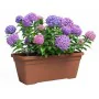 Pot Artevasi Marron 24,3 x 22 cm Plastique Rectangulaire de Artevasi, Pots de fleurs - Réf : S7198131, Prix : 30,21 €, Remise...