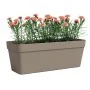 Plant pot Artevasi Taupe 49,9 x 20 x 18,1 cm by Artevasi, Flower Pots - Ref: S7198137, Price: 28,24 €, Discount: %