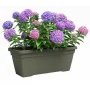 Pot Artevasi 57,9 x 24,3 x 22 cm Vert de Artevasi, Pots de fleurs - Réf : S7198143, Prix : 30,21 €, Remise : %