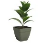 Plant pot Artevasi 36,5 x 36,5 x 33,5 cm Green by Artevasi, Flower Pots - Ref: S7198148, Price: 34,64 €, Discount: %