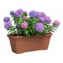 Plant pot Artevasi 77,9 x 24 x 22 cm Terracotta Plastic Rectangular by Artevasi, Flower Pots - Ref: S7198268, Price: 33,99 €,...