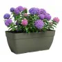 Plant pot Artevasi 57,9 x 24,3 x 22 cm Green by Artevasi, Flower Pots - Ref: S7198276, Price: 51,45 €, Discount: %