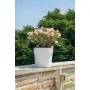 Planter Deroma White 48 x 43 cm 58 L by Deroma, Cachepots - Ref: S7198388, Price: 49,03 €, Discount: %