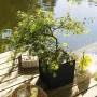 Self-watering flowerpot Lechuza Black 30 x 30 cm LED by Lechuza, Cachepots - Ref: S7198761, Price: 150,44 €, Discount: %