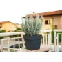 Plant pot Deroma Dark grey Ø 35 cm by Deroma, Flower Pots - Ref: S7198913, Price: 43,69 €, Discount: %