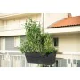 Pot Deroma 49 cm de Deroma, Pots de fleurs - Réf : S7198914, Prix : 35,65 €, Remise : %