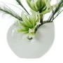 Vase Alexandra House Living White Ceramic Shell 25 x 21 x 13 CM by Alexandra House Living, Vases - Ref: D1621242, Price: 31,2...