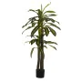 Plante décorative Alexandra House Living Plastique Dracaena 130 cm de Alexandra House Living, Plantes artificielles - Réf : D...