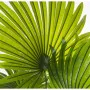 Dekorationspflanze Alexandra House Living Kunststoff Palme 180 cm von Alexandra House Living, Bäume - Ref: D1626937, Preis: 1...