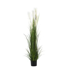 Planta Decorativa Alexandra House Living Plástico Helecho 150 cm de Alexandra House Living, Plantas - Ref: D1626940, Precio: ...