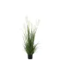 Plante décorative Alexandra House Living Plastique Fougère 120 cm de Alexandra House Living, Plantes artificielles - Réf : D1...