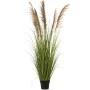 Planta Decorativa Alexandra House Living Plástico 173 cm de Alexandra House Living, Plantas - Ref: D1626942, Precio: 172,23 €...