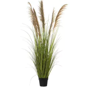 Decorative Plant Alexandra House Living Plastic 173 cm by Alexandra House Living, Artificial Plants - Ref: D1626942, Price: 1...