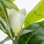 Decorative Plant Alexandra House Living Plastic Magnolia 130 cm by Alexandra House Living, Artificial Plants - Ref: D1626945,...