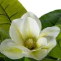 Decorative Plant Alexandra House Living Plastic Magnolia 130 cm by Alexandra House Living, Artificial Plants - Ref: D1626945,...