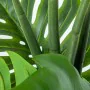 Plante décorative Alexandra House Living Plastique Monstera 150 cm de Alexandra House Living, Plantes artificielles - Réf : D...