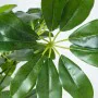 Decorative Plant Alexandra House Living Plastic Schefflera 90 cm by Alexandra House Living, Artificial Trees - Ref: D1626956,...