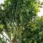 Decorative Plant Alexandra House Living Plastic Melon 110 cm by Alexandra House Living, Artificial Plants - Ref: D1626959, Pr...