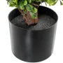 Plante décorative Alexandra House Living Plastique Melon 110 cm de Alexandra House Living, Plantes artificielles - Réf : D162...