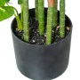 Plante décorative Alexandra House Living Plastique 160 cm de Alexandra House Living, Plantes artificielles - Réf : D1626964, ...