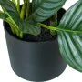 Plante décorative Alexandra House Living Plastique Calathea 90 cm de Alexandra House Living, Plantes artificielles - Réf : D1...