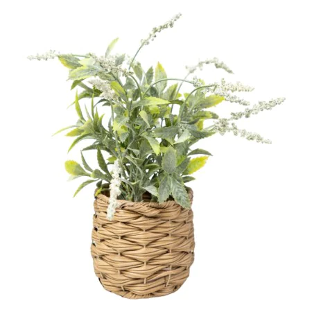 Plante décorative Romimex Plastique Fibre Lavande 15 x 32 x 15 cm de Romimex, Plantes artificielles - Réf : D1628810, Prix : ...