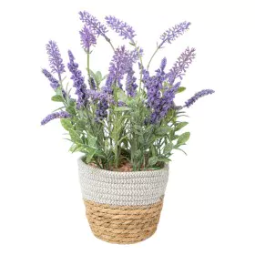 Decorative Plant Romimex Plastic Fibre Lavendar 15 x 38 x 15 cm by Romimex, Artificial Plants - Ref: D1628813, Price: 19,70 €...