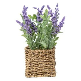 Planta Decorativa Romimex Plástico Fibra Lavanda 15 x 28 x 15 cm de Romimex, Plantas - Ref: D1628814, Preço: 15,80 €, Descont...