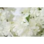 Decorative Flowers Romimex White 130 x 190 x 130 cm Cherry blossom by Romimex, Artificial Flowers - Ref: D1628818, Price: 177...