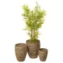 Set of Planters Romimex Natural Natural Fibre 40 x 49 x 40 cm 3 Pieces by Romimex, Cachepots - Ref: D1628849, Price: 100,83 €...