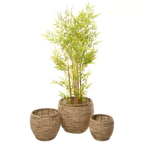 Set of Planters Romimex Natural Natural Fibre 48 x 37 x 48 cm 3 Pieces by Romimex, Cachepots - Ref: D1628854, Price: 91,33 €,...