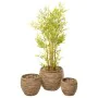 Set de pots de fleurs Romimex Naturel Fibre naturelle 48 x 37 x 48 cm 3 Pièces de Romimex, Cache-pots - Réf : D1628854, Prix ...