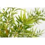 Decorative Plant Romimex Plastic Bamboo 50 x 150 x 50 cm by Romimex, Artificial Plants - Ref: D1628926, Price: 76,68 €, Disco...