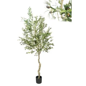 Decorative Tree Romimex Plastic Olive tree 100 x 195 x 100 cm by Romimex, Artificial Trees - Ref: D1628927, Price: 166,36 €, ...