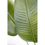 Decorative Plant Romimex Strelitzia Plastic 110 x 210 x 70 cm by Romimex, Artificial Plants - Ref: D1628931, Price: 122,28 €,...