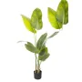 Plante décorative Romimex Strelitzia Plastique 70 x 140 x 70 cm de Romimex, Plantes artificielles - Réf : D1628932, Prix : 78...