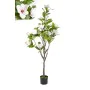 Deko-Blumen Romimex Weiß Magnolia 50 x 160 x 50 cm von Romimex, Blumen - Ref: D1628953, Preis: 117,62 €, Rabatt: %