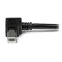 Cabo USB A para USB B Startech USBAB2MR Preto de Startech, Cabos USB - Ref: S55057249, Preço: 7,70 €, Desconto: %