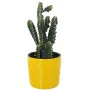 Set of Planters Alexandra House Living Yellow Ceramic (3 Pieces) by Alexandra House Living, Cachepots - Ref: D1621877, Price:...