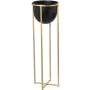 Blumentopf Alexandra House Living Schwarz Gold Metall 21 x 21 x 66 cm Mit Unterstützung von Alexandra House Living, Übertöpfe...