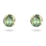 Boucles d´oreilles Femme Swarovski 5639120 de Swarovski, Boucles d'oreilles - Réf : S7250417, Prix : 94,19 €, Remise : %