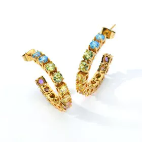 Ladies' Earrings AN Jewels AL.ELOY12YF by AN Jewels, Earrings - Ref: S7252123, Price: 95,25 €, Discount: %