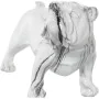 Deko-Figur Alexandra House Living Kunststoff Hund 25 x 21 x 43 cm Marmor von Alexandra House Living, Sammlerstücke - Ref: D16...